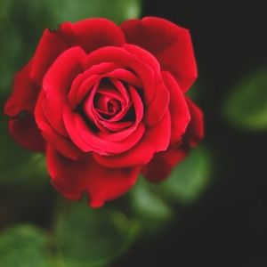 Meet your Posher, Jaime